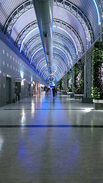 IMAG1792.jpg IMAG1792.jpg