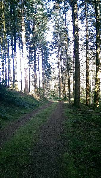 IMAG1890.jpg IMAG1890.jpg