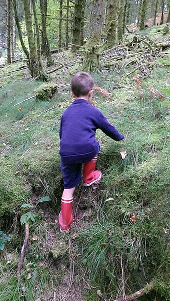 IMAG1917.jpg IMAG1917.jpg