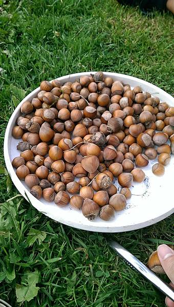 IMAG1997.jpg IMAG1997.jpg