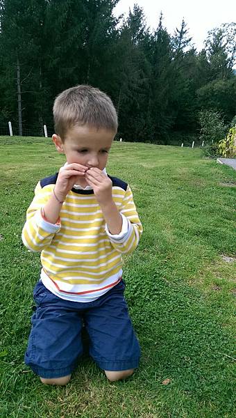 IMAG2001.jpg IMAG2001.jpg