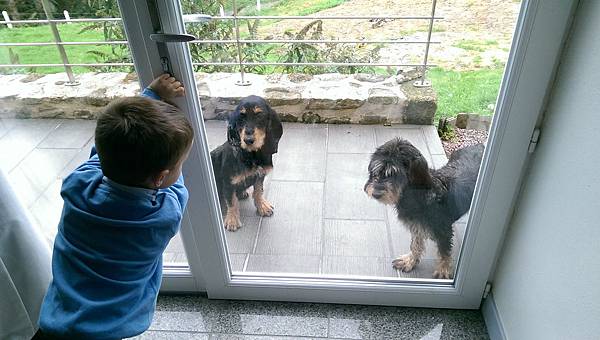 IMAG2036.jpg IMAG2036.jpg