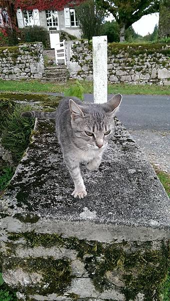 IMAG2042.jpg IMAG2042.jpg