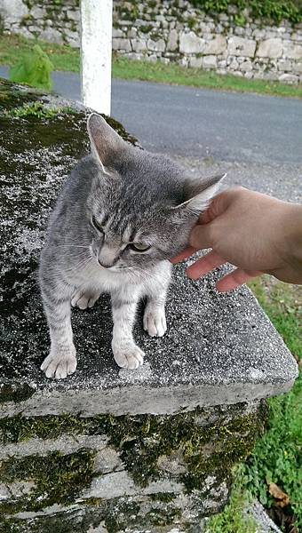 IMAG2044.jpg IMAG2044.jpg