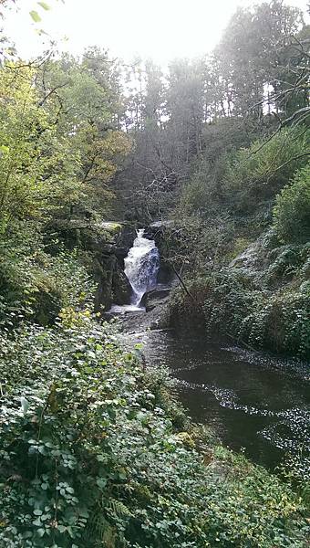 IMAG2063.jpg IMAG2063.jpg