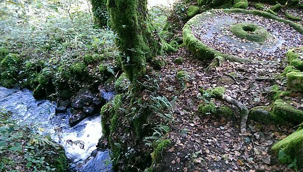 IMAG2068.jpg IMAG2068.jpg