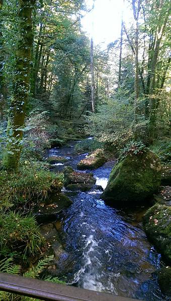 IMAG2072.jpg IMAG2072.jpg