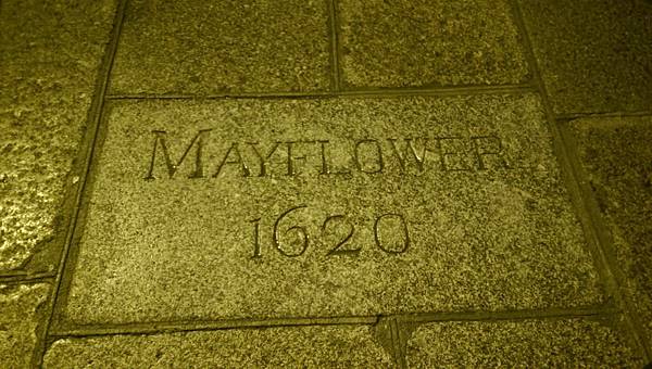 IMAG2328.jpg IMAG2328.jpg