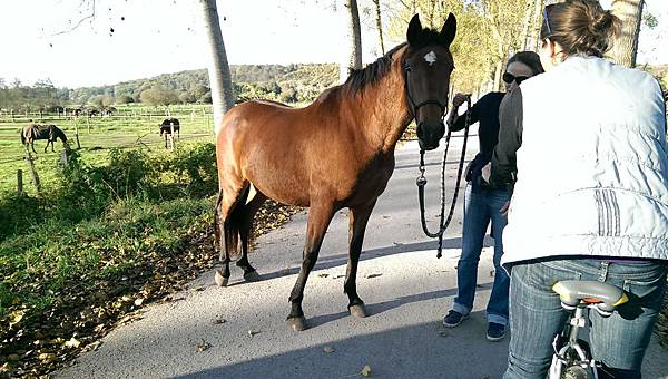 IMAG2416.jpg IMAG2416.jpg