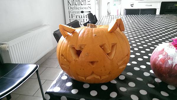 IMAG2434.jpg IMAG2434.jpg