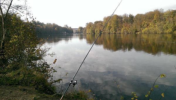 IMAG2458.jpg IMAG2458.jpg