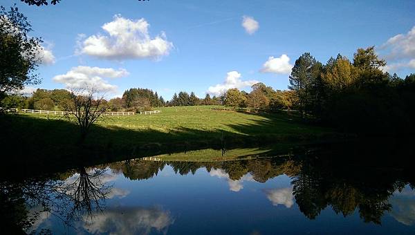 IMAG2625.jpg IMAG2625.jpg