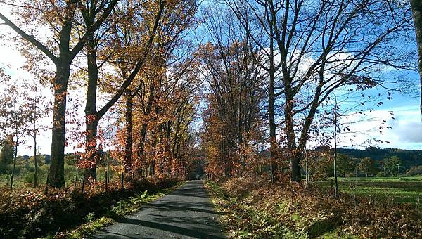 IMAG2659.jpg IMAG2659.jpg