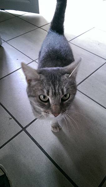 IMAG2780.jpg IMAG2780.jpg