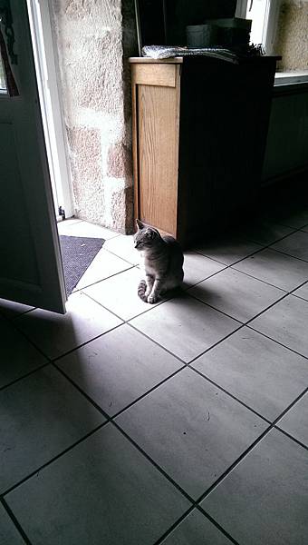 IMAG2781.jpg IMAG2781.jpg