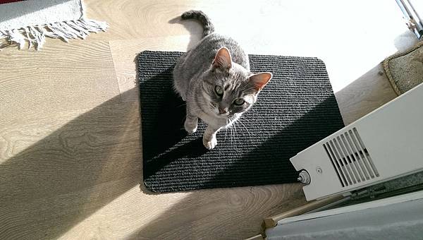 IMAG2823.jpg IMAG2823.jpg