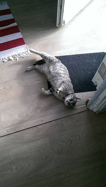 IMAG2824.jpg IMAG2824.jpg