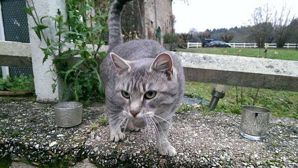 IMAG2864.jpg IMAG2864.jpg