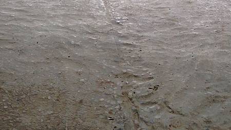 磨石子地板整平前