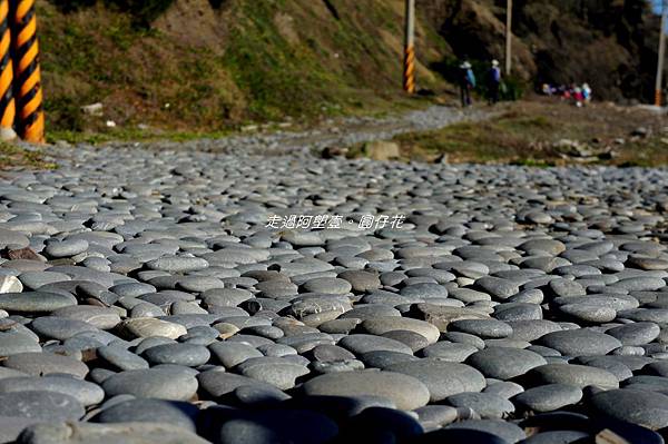 DSC01878.jpg DSC01878.jpg