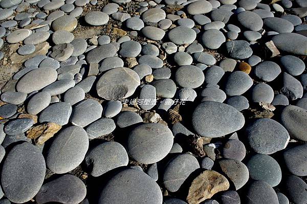 DSC01888.jpg DSC01888.jpg