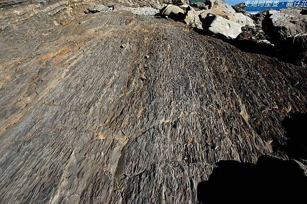 DSC01913.jpg DSC01913.jpg