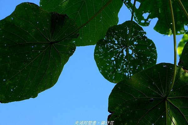 DSC01988.jpg DSC01988.jpg