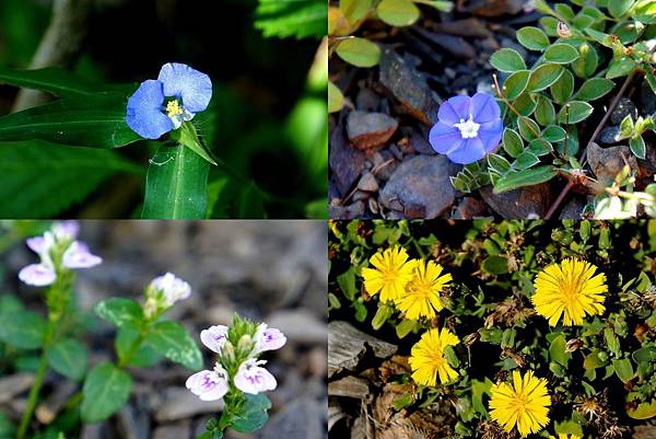 DSC01991~1.jpg DSC01991~1.jpg