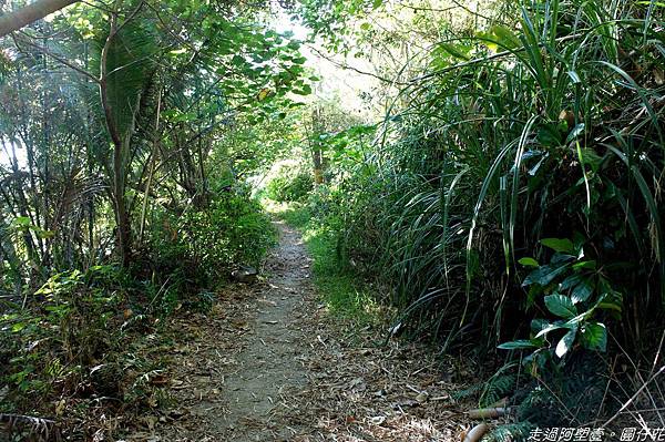 DSC02005.jpg DSC02005.jpg