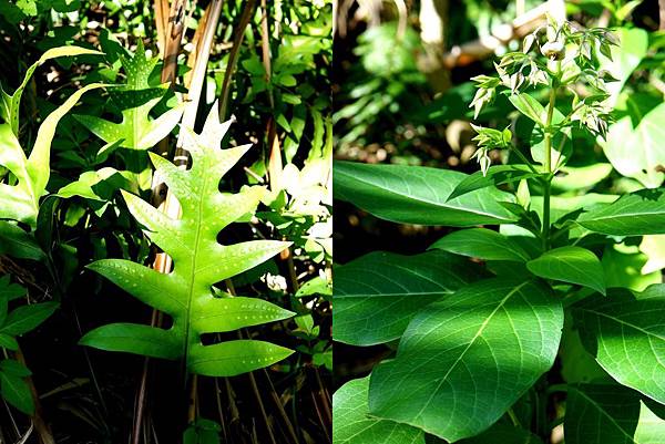 DSC02028~1.jpg DSC02028~1.jpg