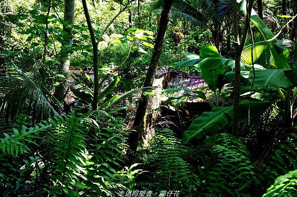 DSC02064.jpg DSC02064.jpg