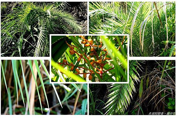 DSC02089~1.jpg DSC02089~1.jpg