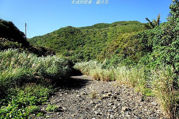 DSC02112.jpg DSC02112.jpg