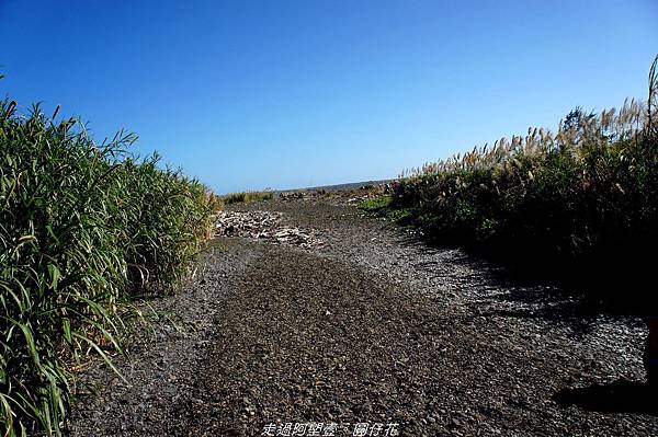 DSC02119.jpg DSC02119.jpg