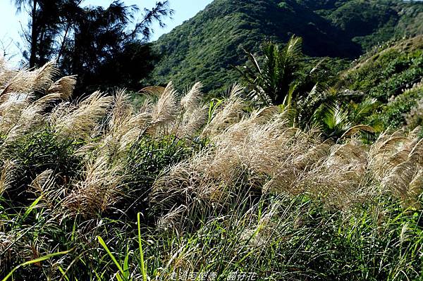 DSC02122.jpg DSC02122.jpg