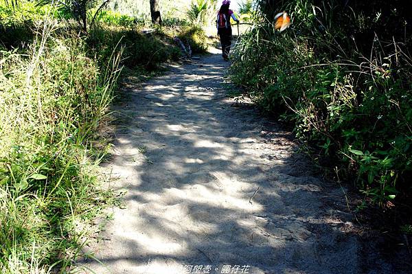 DSC02164.jpg DSC02164.jpg