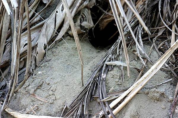 DSC02232.jpg DSC02232.jpg