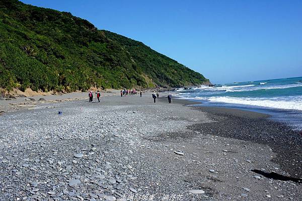 DSC02305.jpg DSC02305.jpg