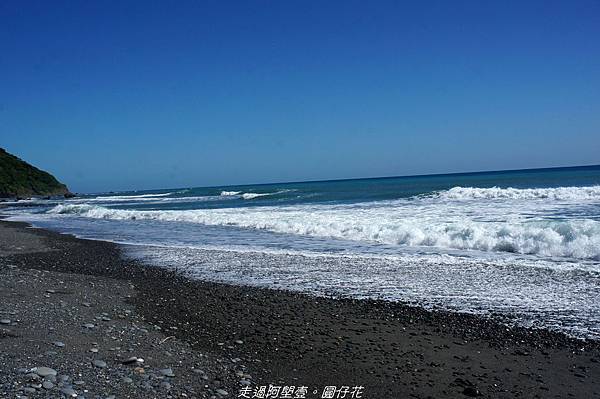 DSC02312.jpg DSC02312.jpg