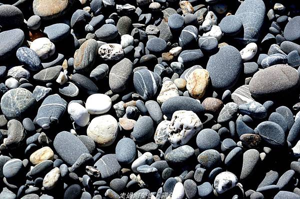 DSC02355.jpg DSC02355.jpg