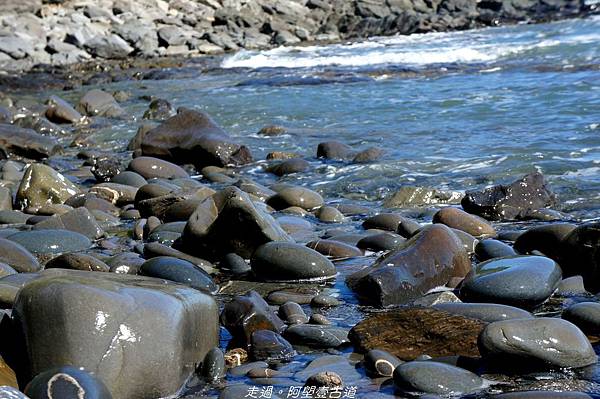 DSC02366.jpg DSC02366.jpg