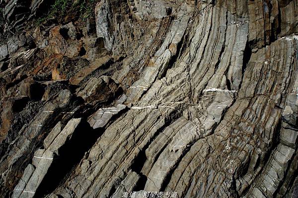 DSC02413.jpg DSC02413.jpg