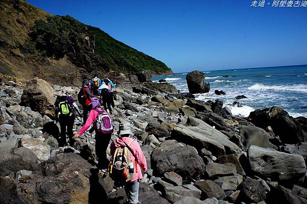 DSC02420.jpg DSC02420.jpg