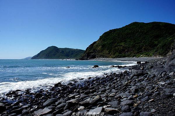 DSC02529.jpg DSC02529.jpg