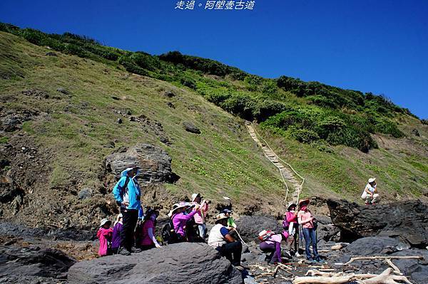 DSC02538.jpg DSC02538.jpg