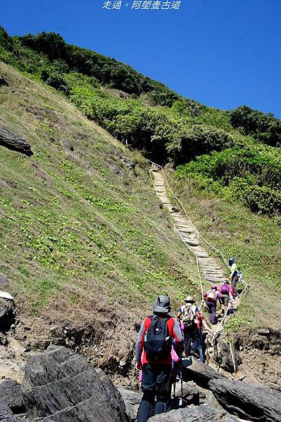 DSC02550.jpg DSC02550.jpg