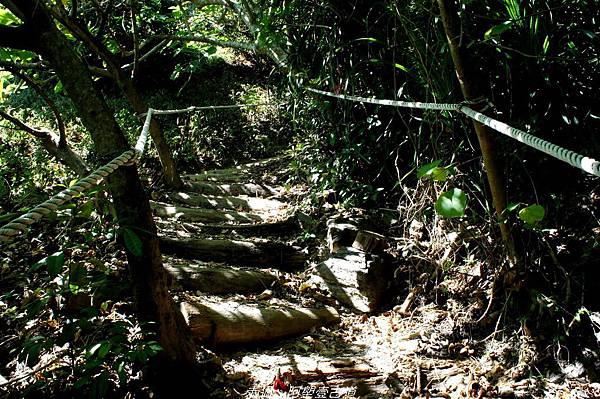 DSC02572.jpg DSC02572.jpg