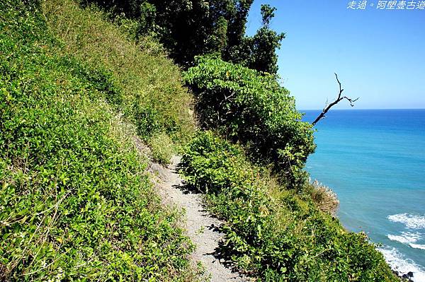 DSC02593.jpg DSC02593.jpg