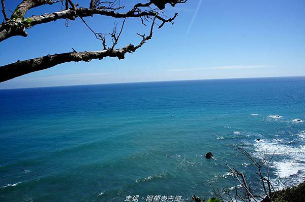 DSC02600.jpg DSC02600.jpg