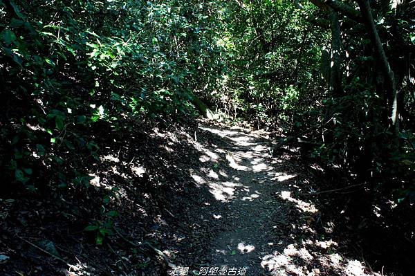 DSC02596.jpg DSC02596.jpg